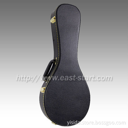 A Type Mandolin Hard Case